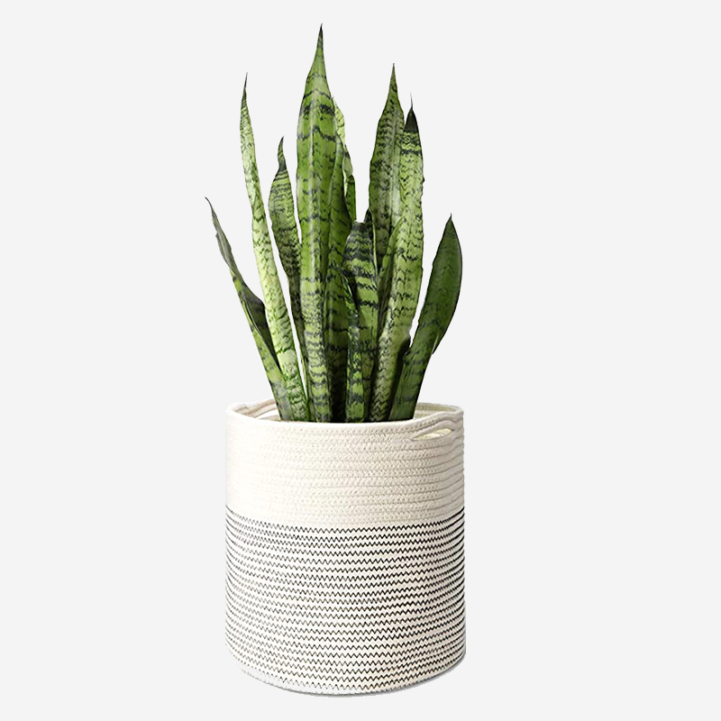 Round Flower White Pot - Image 5