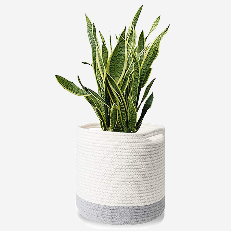 Cotton Rope Plant Basket - Image 6
