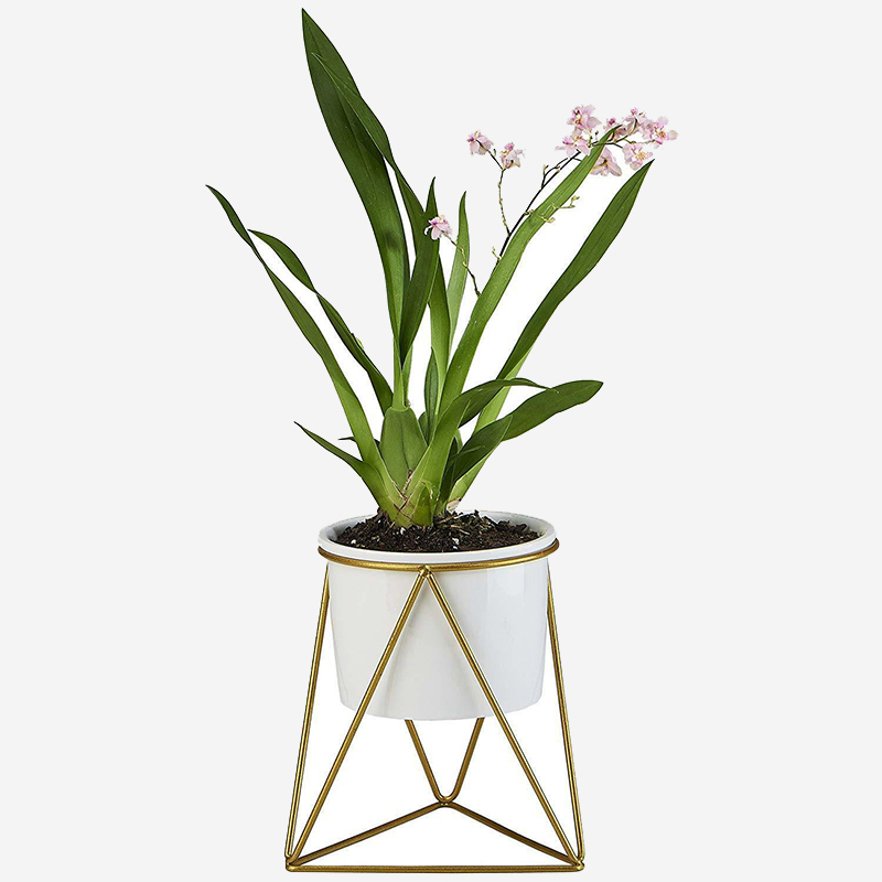 Succulent Planter Pot Set - Image 3