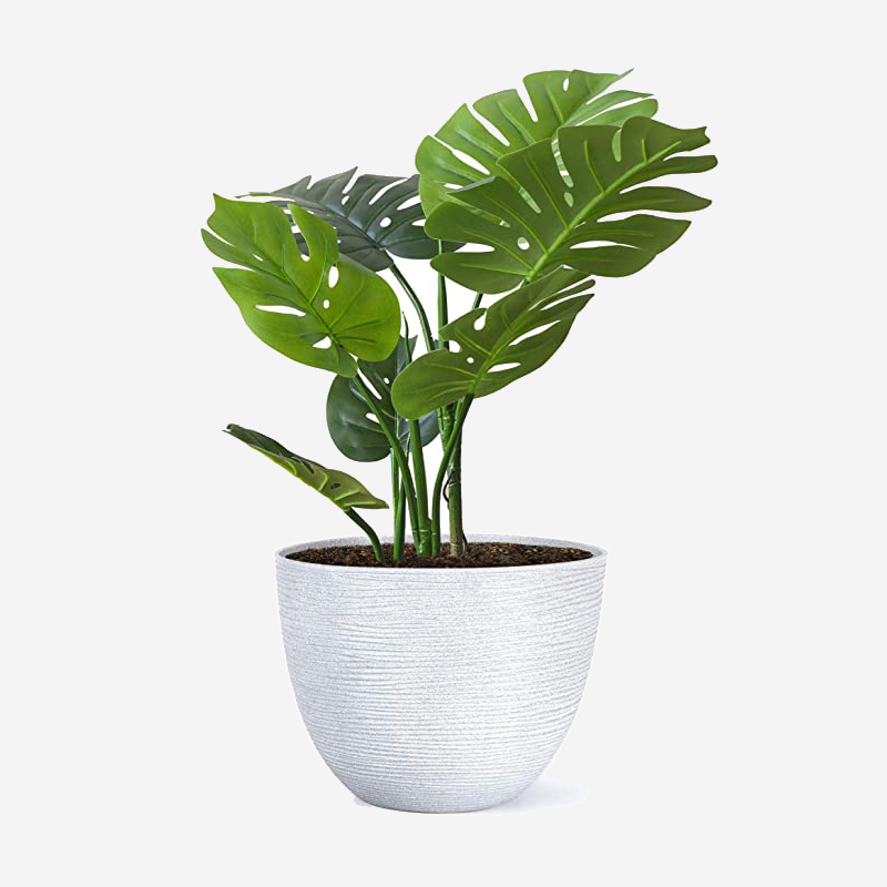 Round Flower White Pot