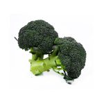 High Quality Broccoli