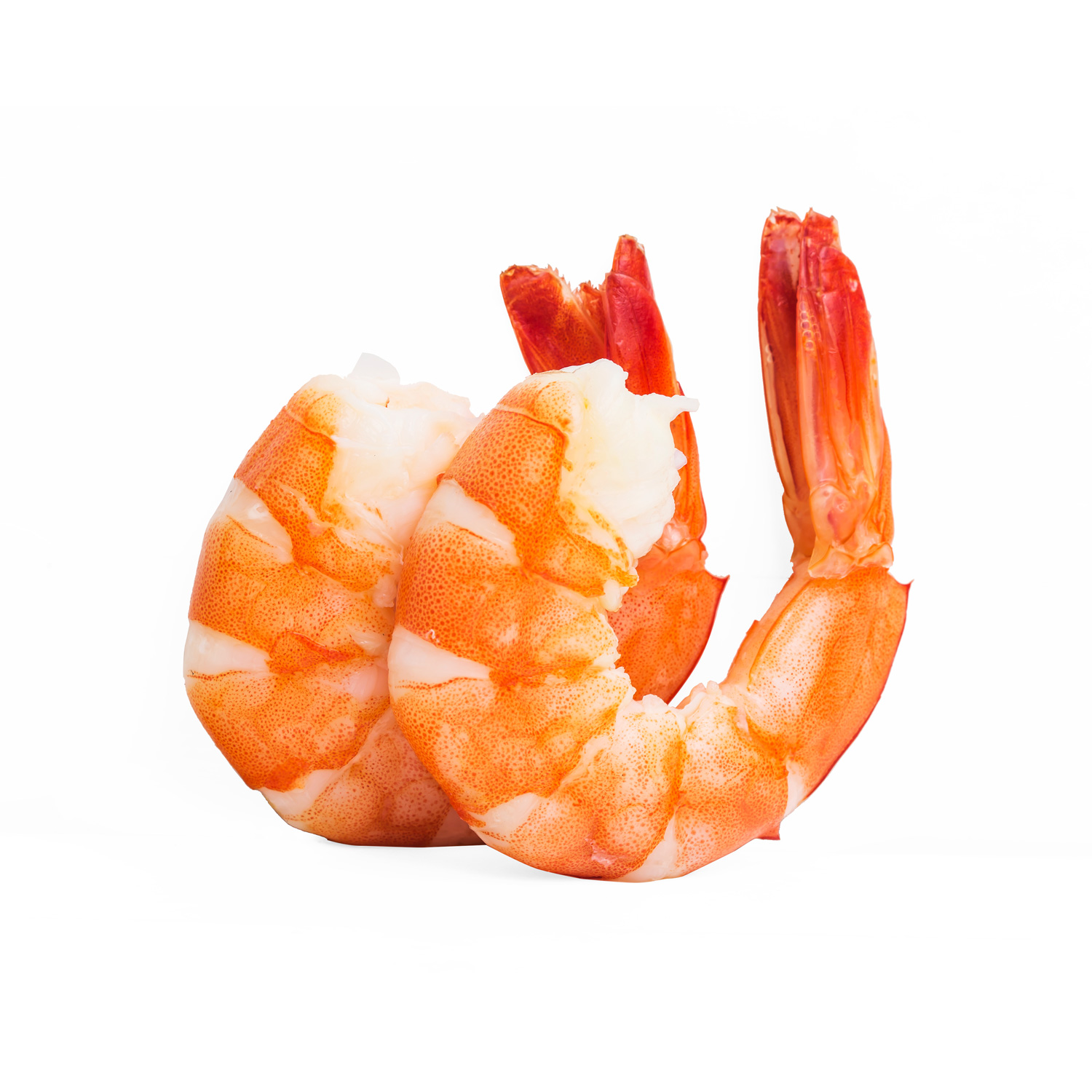 Norwegian Salmon Fillet - Image 4