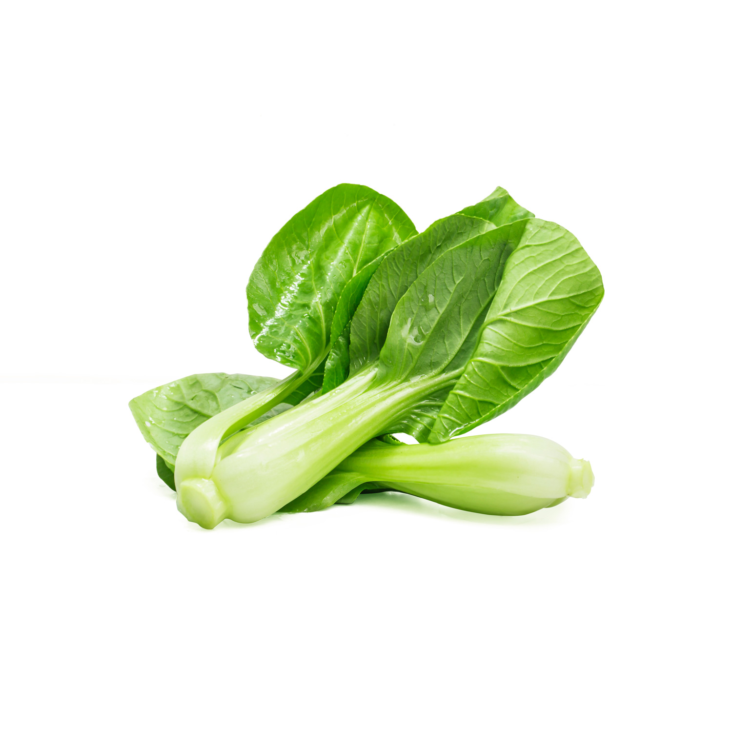 Organic Silk Lettuce - Image 3
